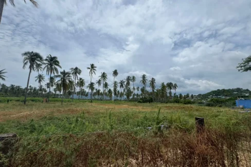 Venta De Terreno Coyuca (4)
