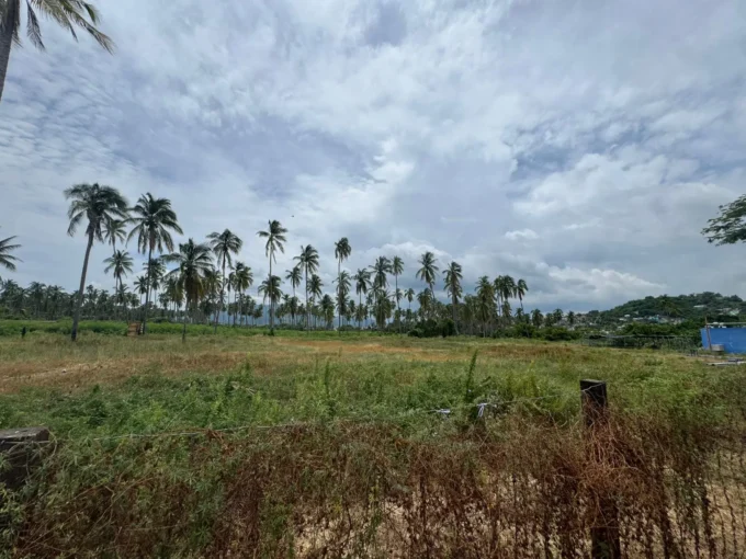 Venta De Terreno Coyuca (4)