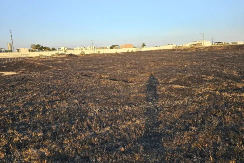 Terreno En Venta Lomas De Angelópolis · Ocoyucan Puebla Tere Gutiérrez (1)